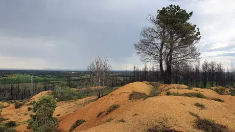 Finca El Ramajal donde se pretende instalar la macroplanta de biogás. Fotografía: CEDIDA