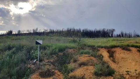 Finca El Ramajal donde se pretende instalar la macroplanta de biogás. Fotografía: CEDIDA