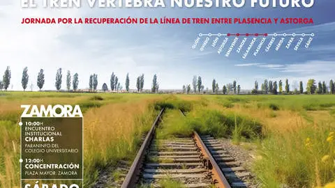 Cartel Manifestacion 25M Zamora