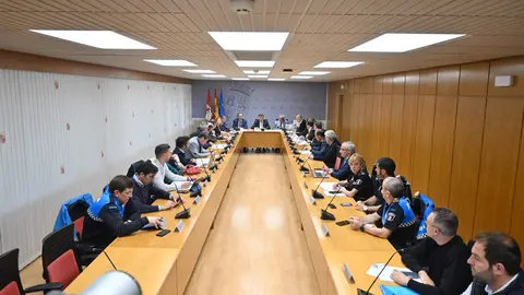 Consejo de Cooperación Local