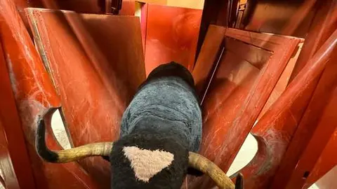 Actividades dia de la tauromaquía Benavente