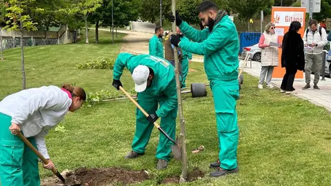 Once desempleados de la comunidad gitana furante el programa Tandem