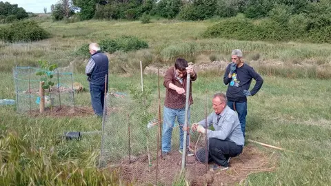 Pontejos planta dos árboles por cada mayo