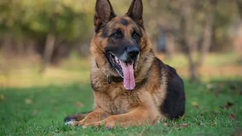 3502-176-66507e28440f41.40471462