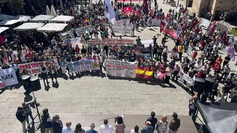 manifestación ruta de la plata_4