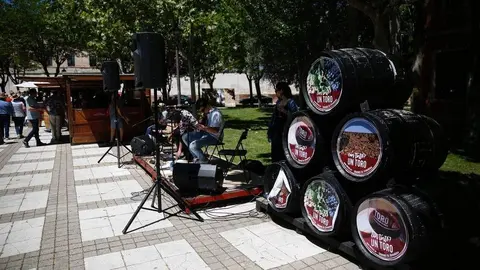 manifestación ruta de la plata_3
