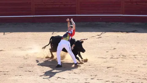 Concurso de cortes. Fotografía: Ayuntamiento de Benavente