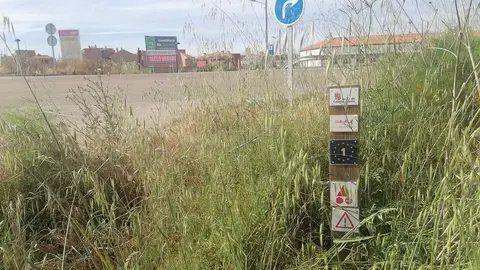 Vía de la Plata 2