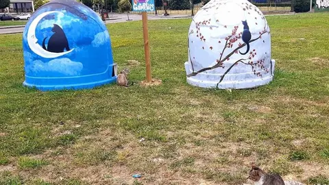 Imagen de los 'gatuperios' impulsados en diferentes puntos de Asturias. Fotografía: Voluntarios De Colonias Felinas Llanera