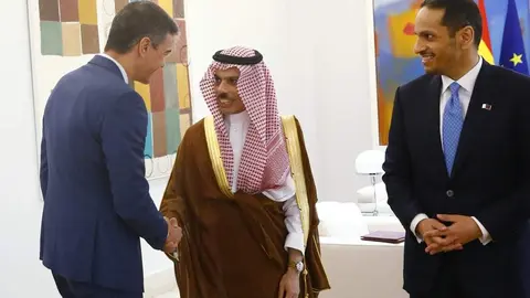 Pedro Sánchez durante la visita del Comité Ministerial Árabe-Islámico sobre Gaza. Fotografía: Moncloa