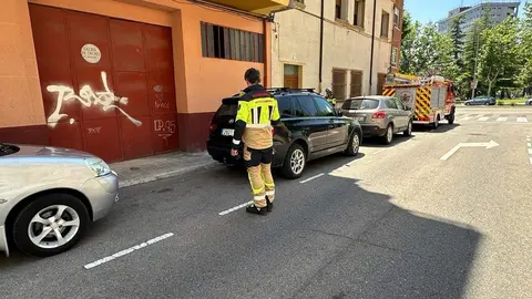 Culebra capturada por los Bomberos de Zamora en la calle Francisco Pizarro de Zamora