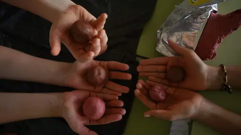 Tour Vida a la Tierra 2024