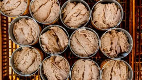 Atún en conserva. Fotografía de archivo