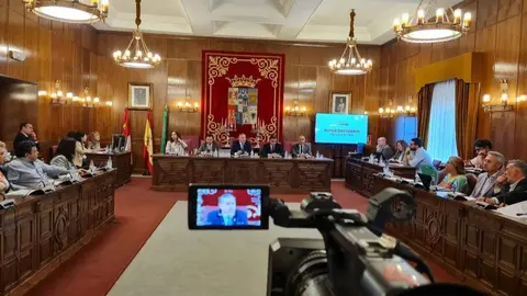 pleno Diputación de Zamora mes de junio
