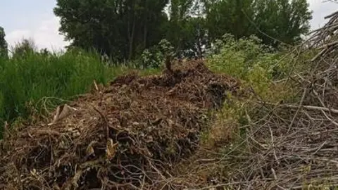 los negrillos Venialbo