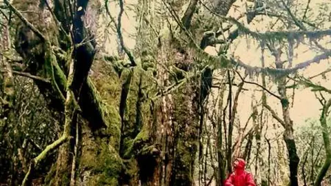 Criosanabria lanza una campaña para prevenir los incendios forestales durante el verano