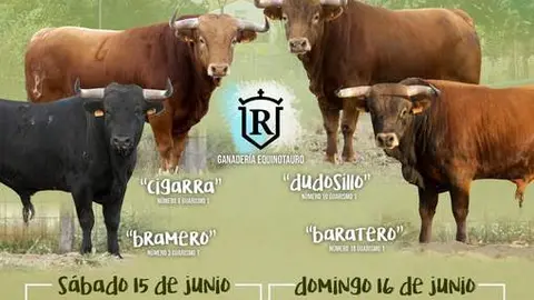 Cartel Vadillo de la Guareña