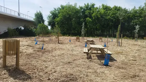 renaturalización en el entorno del Parque de Olivares