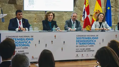 Congreso Nacional de Sostenibilidad Demográfica y Territorial de Castilla y León