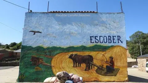 Escober de Tábara. imagen facebook