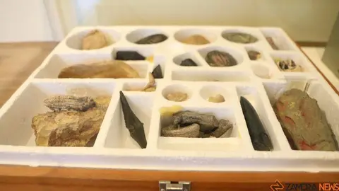 Museo Pedagógico_33