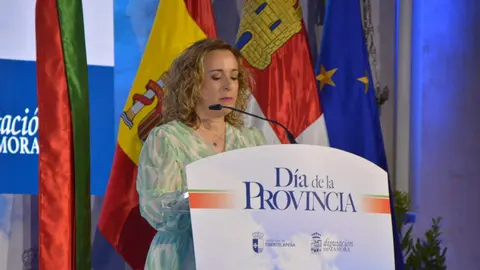 dia de la provincia (77)
