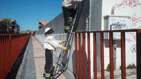 Intervención avispa velutina. Fotografía: 112 CyL