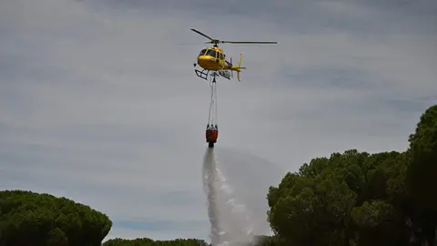 Simulacro de intervención ante incendio forestal 2 Imagen Junta