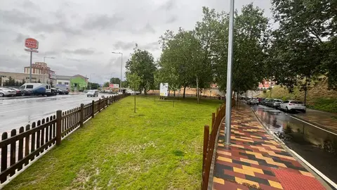 zona suelta de perros