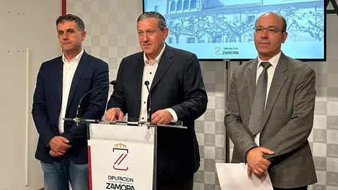 programa recaudación dipu