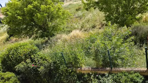 Estado jardines y arroyo Andavías