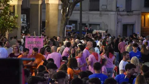 fiestas san pedro 2024_3