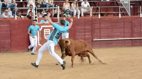 cortes zamora y villalpando _4