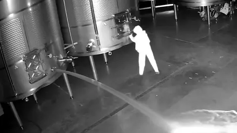 Sabotaje en la Bodega Cepa 21 en Castrillo de Duero