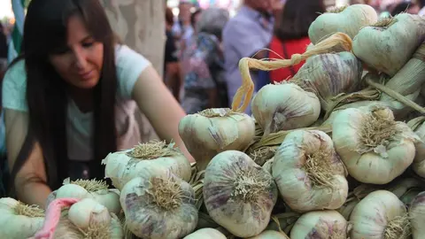 Feria del ajo 2024_23