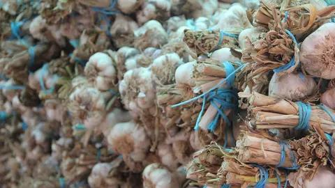 Feria del ajo 2024_39
