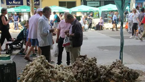 Feria del ajo 2024_65