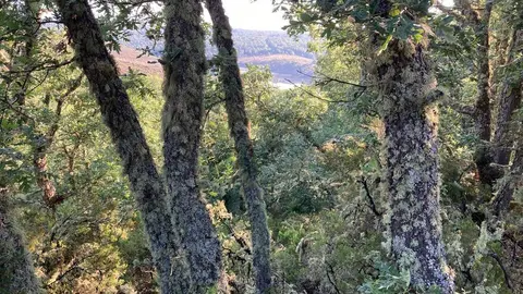 5-VISTAS DESDE LA 62