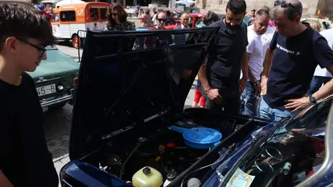 concentración internacional Citroen 2cv y clásicos _5