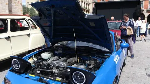 concentración internacional Citroen 2cv y clásicos _6