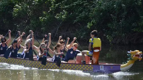 barco drag&oacute;n zamora _21