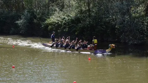 barco drag&oacute;n zamora _22