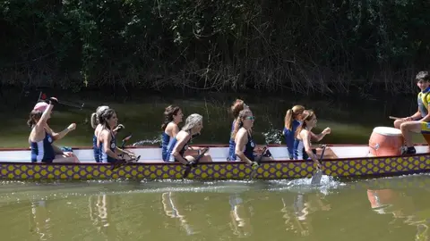 barco drag&oacute;n zamora _30