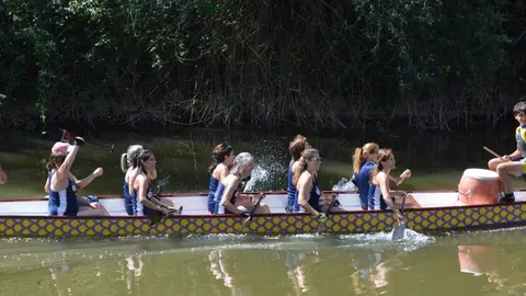 barco drag&oacute;n zamora _31