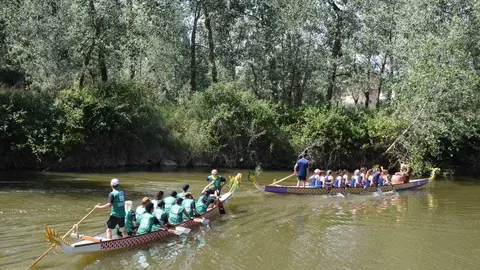 barco drag&oacute;n zamora _36