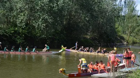 barco drag&oacute;n zamora _40