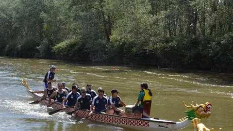 barco drag&oacute;n zamora _55