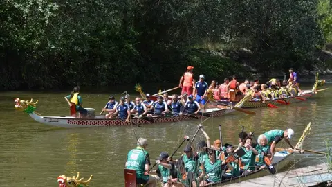 barco drag&oacute;n zamora _62