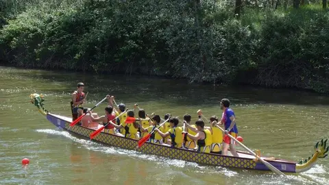 barco drag&oacute;n zamora _72