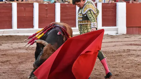 toros zamora san pedro 2024 (3)